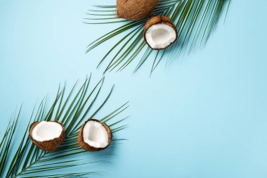 Yaz tatili konsepti. Çatlak hindistan cevizi ve palmiye yapraklarının izole edilmiş mavi arkaplandaki boş alan görüntüsü