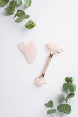 Okaliptüs gül kuvars silindiri ve gua sha masajcısının en üstteki dikey fotoğrafı izole beyaz arka planda.