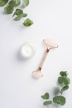 Yalıtılmış beyaz zemin üzerinde gül kuvars krem şişesi ve okaliptüs dikey fotoğraf