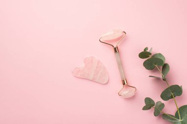 Güzellik prosedürü konsepti. Okaliptüs yapraklarının üst görüntüsü gül kuvars silindiri ve izole edilmiş pastel pembe arka planda gua sha masajcısı.