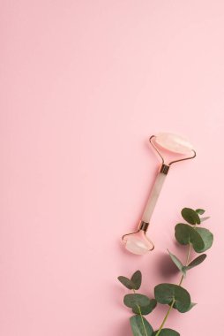 Güzellik prosedürü konsepti. Üst görünüm okaliptüs ve gül kuvars silindirli dikey fotoğraf izole edilmiş pastel pembe zemin üzerinde kopyalanmış