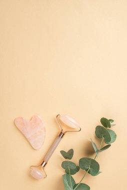 Güzellik prosedürü konsepti. İzole edilmiş pastel bej arkaplan üzerinde gül kuvars gülü sha masajcı ve okaliptüs dalının dikey görüntüsü
