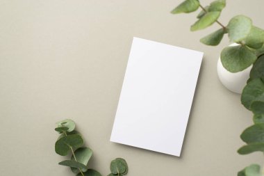 Kağıt tabaka ve beyaz seramik vazonun en üstteki fotoğrafı. Pastel gri arka planda, içi boş bir okaliptüs buketi.