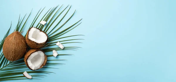 Summer Weekend Concept Top View Photo Cracked Coconuts Palm Leaves — Fotografia de Stock