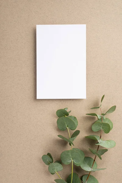 Bej renkli duvar ve okaliptüs dalları üzerinde boş alan olan kağıt tabaka dikey fotoğraf