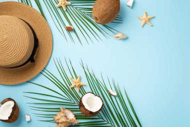 Summer holidays concept. Top view photo of hat coconuts starfishes shells and palm leaves on isolated light blue background with empty space