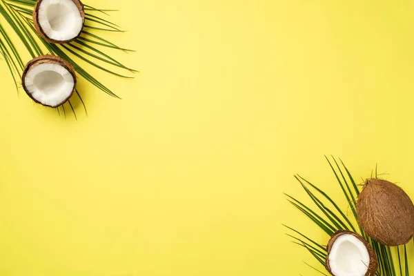 Summer Holidays Concept Top View Photo Cracked Coconuts Palm Leaves — Fotografia de Stock