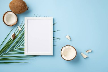 Yaz tatili kavramı. Beyaz fotoğraf çerçevesinin üst görüntüsü çatlak hindistan cevizi ve palmiye yaprakları izole edilmiş mavi arkaplan ve boş alan