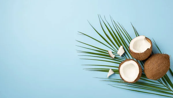 Letní Koncept Horní Panoramatický Pohled Fotografie Popraskané Kokosové Ořechy Palmové — Stock fotografie