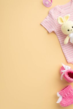 Bebek aksesuarları konsepti. Pembe gömleğin dikey fotoğrafı örülmüş ayakkabılar izole edilmiş pastel bej arka planda boş alan ile örülmüş tavşan oyuncağı ve yatıştırıcı.