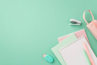School supplies concept. Top view photo of stylish stationery notebooks pineapple shaped eraser pens pink pencil-case and mini stapler on isolated pastel green background with copyspace
