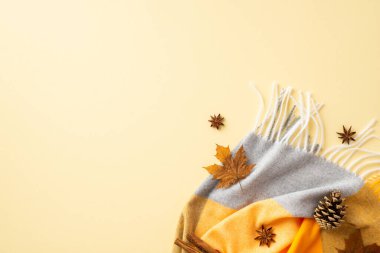 Sonbahar ilham konsepti. Tarçın çubuklarının üst görüntüsü anason sarı akçaağaç yaprakları, izole edilmiş pastel bej arka planda çam kozalağı ve ekoseli boş alan.