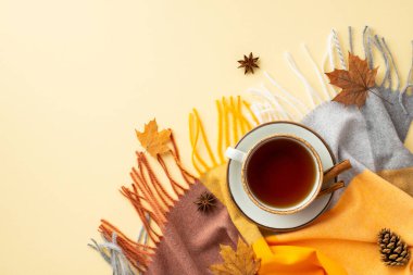 Autumn inspiration concept. Top view photo of cup of tea and cinnamon sticks on saucer anise yellow maple leaves pine cone and plaid on isolated pastel beige background