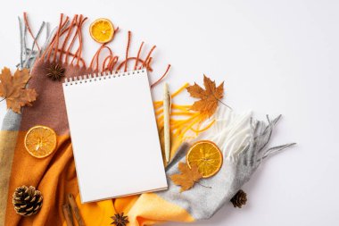 Autumn concept. Top view photo of open diary pen cinnamon sticks dried orange slices anise yellow maple leaves pine cones and plaid scarf on isolated white background with blank space