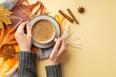 Autumn concept. First person top view photo of woman's hands in pullover holding cup of frothy drinking on saucer over plaid cinnamon sticks anise and fallen maple leaves on isolated beige background