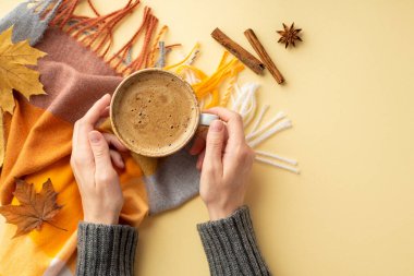 Autumn aesthetic concept. First person top view photo of female hands in knitted jumper holding cup of coffee over plaid cinnamon sticks anise and fallen maple leaves on isolated beige background