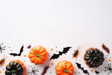 Halloween party decor concept. Top view photo of small pumpkins bat silhouettes creepy insects spiders cockroaches centipedes and confetti on isolated white background with blank space