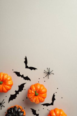 Halloween concept. Top view photo of pumpkins spiders bat silhouettes and black confetti on isolated grey background with empty space