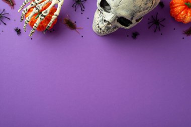 Halloween spooky decorations concept. Top view photo of skull skeleton hand holding pumpkin insects centipedes cockroach spiders and confetti on isolated violet background with empty space