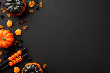 Halloween party accessories concept. Top view photo of small pumpkins candies centipede cocktail straws and spiders on isolated black background with copyspace