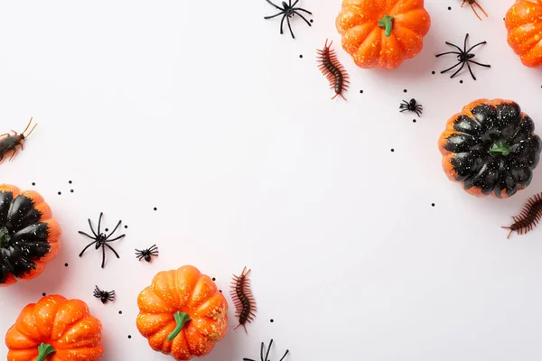 Halloween party decorations concept. Top view photo of small pumpkins insects spiders centipedes and black confetti on isolated white background with empty space