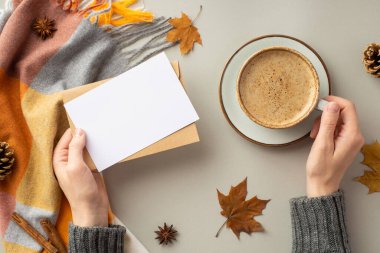 First person top view photo of female hands in jumper holding envelope paper card cup of coffee on saucer scarf maple leaves pine cones anise cinnamon sticks isolated grey background with empty space