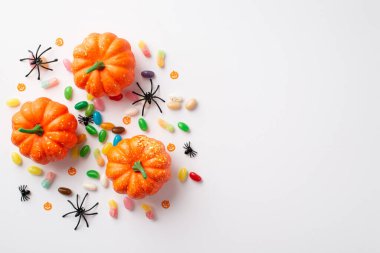 Halloween decorations concept. Top view photo of pumpkins spiders color candies and confetti on isolated white background with empty space