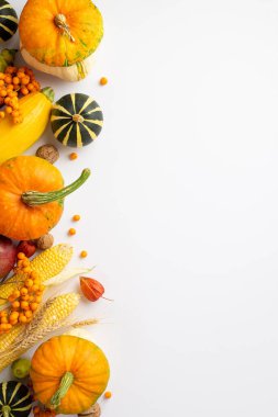 Thanksgiving day concept. Top view vertical photo of raw vegetables pumpkins zucchini corn walnuts wheat rowan and physalis on isolated white background with empty space