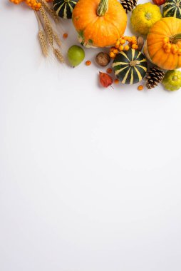 Autumn harvest concept. Top view vertical photo of raw vegetables pumpkins pattypans pear walnuts pine cones wheat rowan and physalis on isolated white background with empty space
