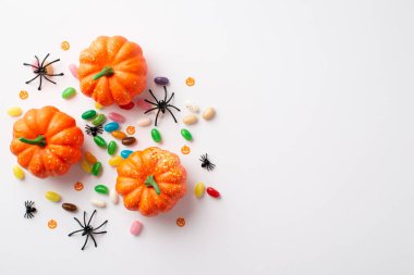 Halloween party concept. Top view photo of small pumpkins spiders and candies on isolated white background with copyspace