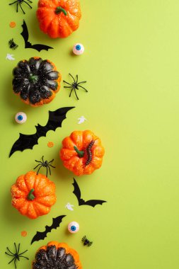 Halloween concept. Top view vertical photo of pumpkins bat silhouettes eyes spiders and confetti on isolated light green background