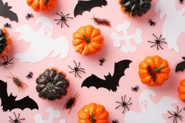 Halloween scary decorations concept. Top view photo of bat ghost and bones silhouettes pumpkins insects spiders cockroaches and centipedes on isolated pastel pink background