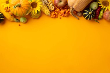 Thanksgiving day concept. Top view photo of raw vegetables pumpkins zucchini corn pattypans apples peppers gourd sunflowers nut and rowan berries on isolated orange background with empty space