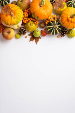 Thanksgiving day concept. Top view vertical photo of maple leaves rowan berries vegetables pumpkins pattypans apples pear walnuts pine cones and physalis on isolated white background with copyspace