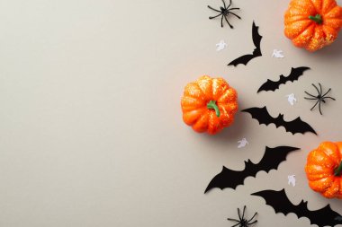 Halloween creepy decorations concept. Top view photo of pumpkins spiders bats and ghost silhouettes on isolated grey background with copyspace