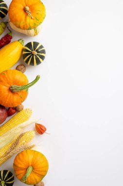 Autumn harvest concept. Top view vertical photo of raw vegetables pumpkins zucchini corn peppers walnuts wheat and physalis on isolated white background with empty space