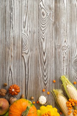 Autumn harvest concept. Top view vertical photo of fresh vegetables pumpkins pattypan squash maize apple rowan berries walnuts and acorns on isolated grey wooden desk background with copyspace