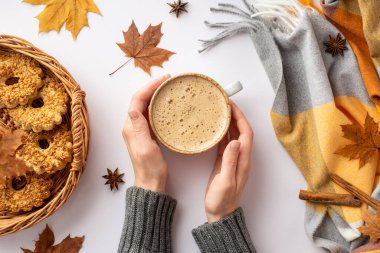 Autumn concept. First person top view photo of female hands in jumper holding cup of hot drinking wicker tray with cookies plaid yellow maple leaves anise cinnamon sticks on isolated white background