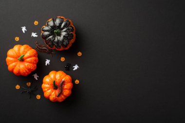 Halloween decorations concept. Top view photo of pumpkins centipedes spiders and ghost silhouettes confetti on isolated black background with copyspace