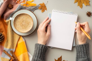 First person top view photo of woman's hands in jumper writing in notepad cup of coffee on saucer plaid fallen maple leaves pine cone anise cinnamon sticks on isolated grey background with copyspace