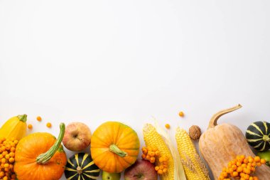 Şükran Günü konsepti. Çiğ sebze kabağı kabak mısır kabağı kabağı, ceviz elması ve rowan 'ın fotosentegre edilmiş beyaz arka planda üst görüntüsü.