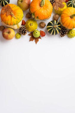 Şükran Günü konsepti. En üstteki dikey akçaağaç resmi çiğ sebze kabağı köfte elma armut cevizi kozalağı ve kopyalanmış beyaz arka planda bitki özü bırakır.