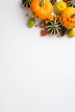 Sonbahar hasat konsepti. Üst görünümde çiğ sebzelerin dikey fotoğrafı. Kabak köfteleri. Armut ceviz kozalakları.