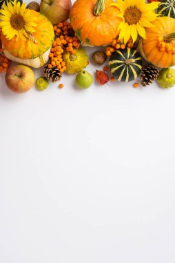 Şükran Günü konsepti. En üstteki görüntüde ayçiçeği, kızılcık, sebze, balkabağı, elmalar, armut, çam kozalakları ve kopyalanmış beyaz arka planda bitki örtüsü var.