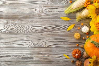 Şükran Günü konsepti. Taze sebze kabaklarının en üstteki fotoğrafı mısır, meşe palamudu, ceviz, kızılcık ve ayçiçeği.