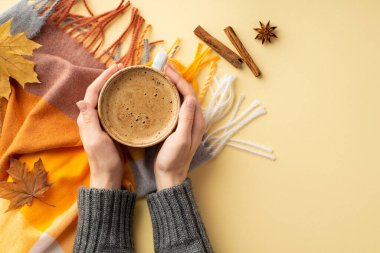 Sonbahar konsepti. Üstten bakıldığında, genç bir kadının elinde kazakla çekilmiş bir kupa dolusu sıcak içkiyi ekose tarçınlı çubuklar anason ve izole edilmiş bej arka planda sarı akçaağaç yapraklarıyla gösteren ilk kişi.
