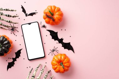 Cadılar Bayramı konsepti Balkabaklarının, akıllı telefon yarasa siluetlerinin, iskelet ellerin, kırkayakların ve kopyalanmış pastel pembe arka planda konfetilerin üst görüntüsü.