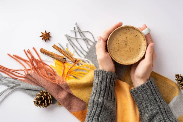 Autumn aesthetic concept. First person top view photo of female hands in knitted sweater holding cup of frothy drinking over plaid pine cones anise and cinnamon sticks on isolated white background
