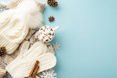 Kış konsepti Marshmallow beyaz eldivenli kakao fotografı örülmüş şapka kazak çam kozalakları anason ve tarçın çubukları izole edilmiş pastel mavi arka planda boş alan