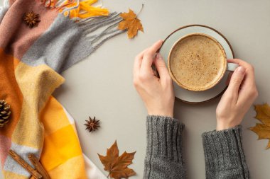 Sonbahar konsepti. Süveter giymiş bir kadının elinde kahve fincanı, ekose eşarp sarı akçaağaç anason yaprakları ve izole edilmiş gri arka planda tarçın çubukları.